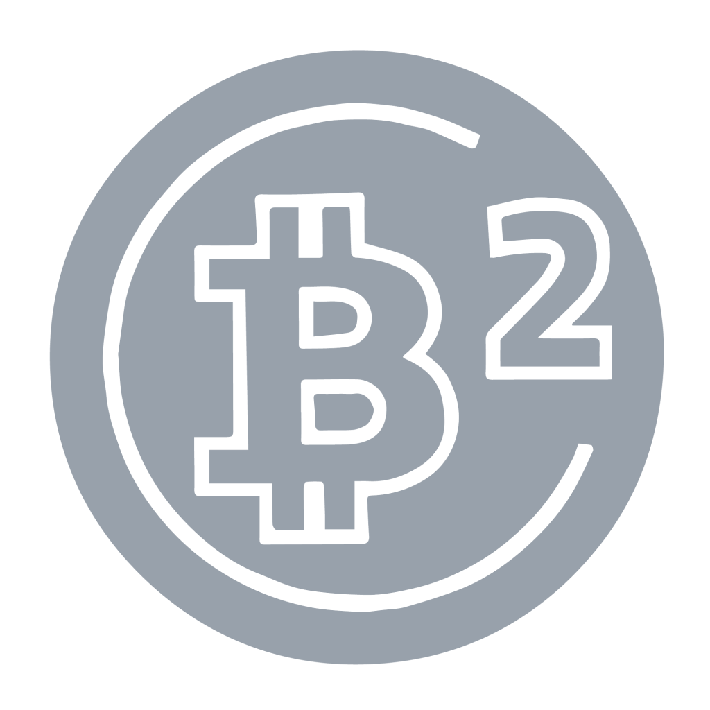 b2 network 02